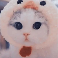ปุกปุย
