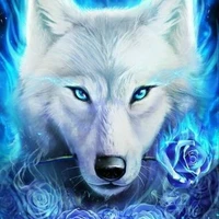 Lobo de jm