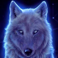 Lobo De Jk