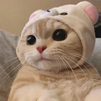 เราเอง