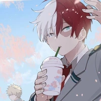 todoroki
