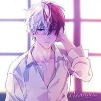 Todoroki shoto (D.P)