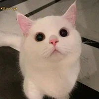แอดเอง~