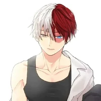 Todoroki