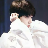 เวียงพิงค์ (นายเอก)