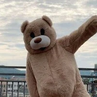 Cute cute teddy