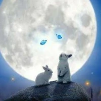 🌙จาหลัน(กระต่ายแสงจันทร์)​🌙