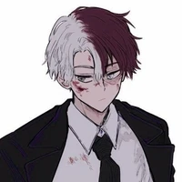 Todoroki🔴⚪