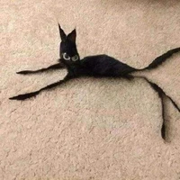 แอดเอง