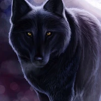 *Akira em forma de Lobo 🐺*