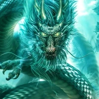 มังกร🐉👑(ข้ารับใช้อาคุเมะจัง)