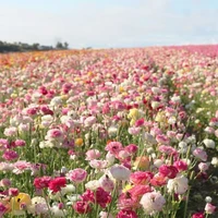 คนอื่น