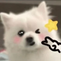 แอดเองง