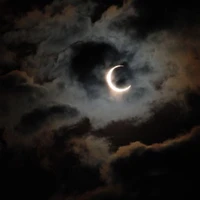 หัวหน้านักฆ่าใต้แสงจันทร์🌒