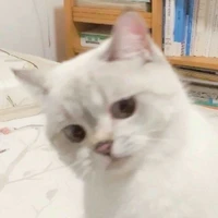 นักเลง1