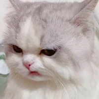นักเลง3