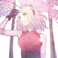 Sakura