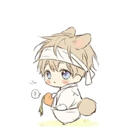 System [Carrot]