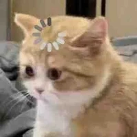 พีบี