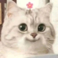 ชีช่า