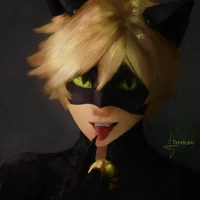 cat noir