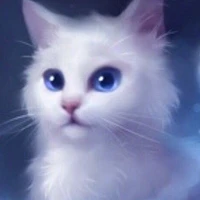 คิสะ🐈