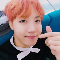 Jung Hoseok (Hobi)