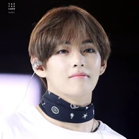 Kim Taehyung (V)