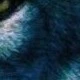 Someone