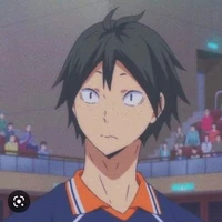 []Yamaguchi[]
