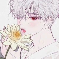 โนเอล นอ /แวมไพร์