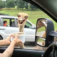 แอด