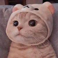 ทุกคน