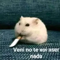 autora 💛💚