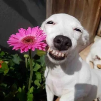 ใครก็ได้โตแล้ว