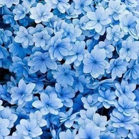 All