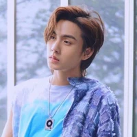 เฮเดน