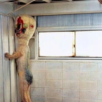 scp 173