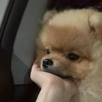 แอดเองจะใคร?