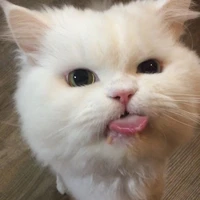 แอดดดด