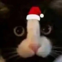 โทษทีเริ่มปิดประตู ไรท์ง้าววว