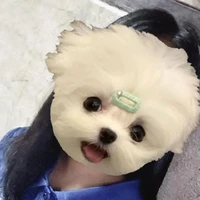 ผู้ใหญ่บ้านเอง