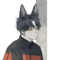 Kio Lionel(Alexander Archipelago wolf)