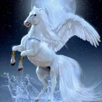 Pegasus