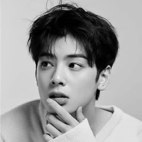 cha eun woo