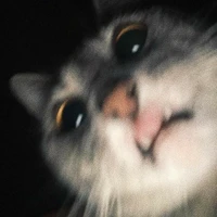 แอด