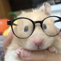 แอดเอง~