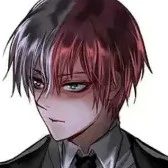 todoroki(alfa)