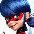 ladybug