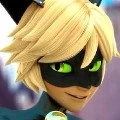 cat noir